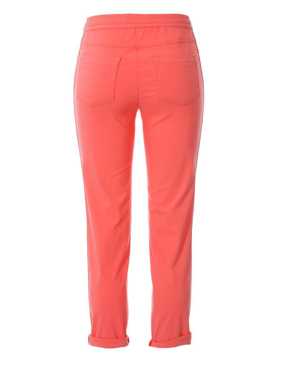 S-Janna 72 apricot 4146 42